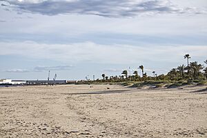 Archivo:Playa El Pinar Castellon - 2