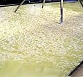 Proteína de suero de leche