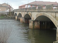 Puente sobre el rio Tuerto
