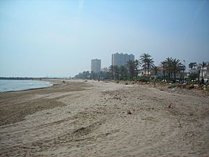 Archivo:Puig Beach