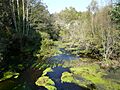 Río Ladra cerca de Baamonde (Lugo, Galicia, España) 01