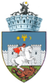 ROU SV Suceava CoA