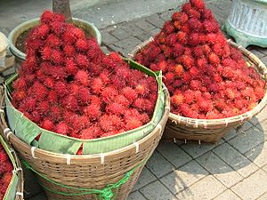 Archivo:Rambutan Binjai