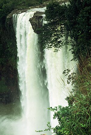 Archivo:Salto Kamá 2