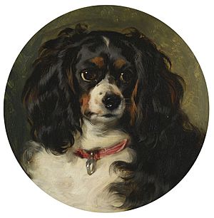 Archivo:Sir Edwin Landseer (1803-73) - Dash - RCIN 403096 - Royal Collection