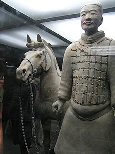 Archivo:Soldier Horse