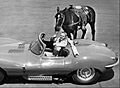 Steve McQueen 1960