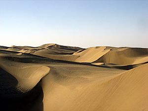 Archivo:Taklamakan desert