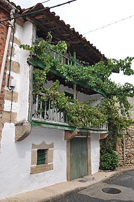 Casa tradicional en Tormellas con una parra