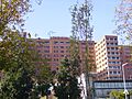 Vall d'Hebron Hospital