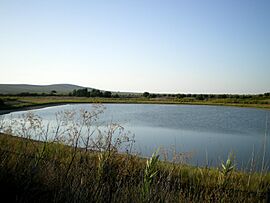 05.Aguilar de la Frontera Laguna del Rincón.jpg