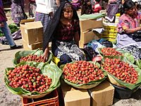 Archivo:070625 fresas strawberries guatemala