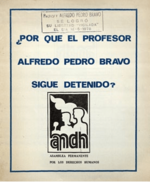 Archivo:APDH ALfredo Bravo