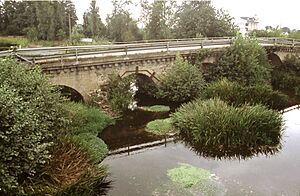 Archivo:A Ponte Vella de Sarria