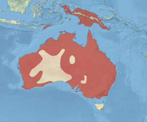 Archivo:Austalasian Darter Range