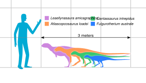 Archivo:Australian Hypsilophodont Sizes Slate