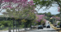 Avenida arnulfo escalona