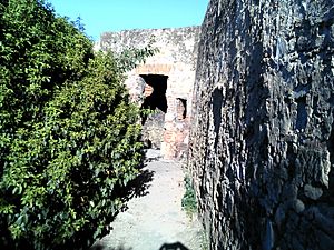 Archivo:BA-R.A. - Ruinas Fuerte de Pardaleras 12