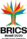 BRICS 2025 Brazilian chairmanship logo.svg