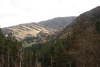 Bealick on the Shehy Mountain range - geograph.org.uk - 1173812.jpg