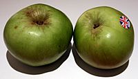 Archivo:Brimley Apples