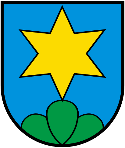 CHE Neuenegg COA