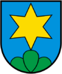 CHE Neuenegg COA.svg