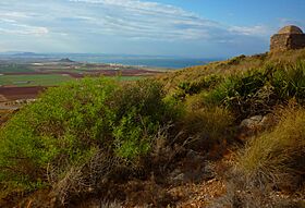 Cabezo San Gines1180179.jpg