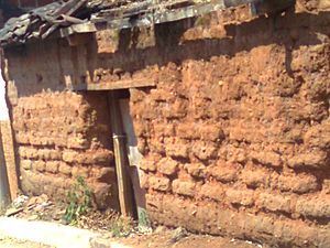Archivo:Casa tradicional de adobe de la decada de los años 1960 de la laguna