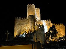 Archivo:Castillo de Almansa 2004-03-21