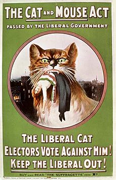 Archivo:Cat and Mouse Act Poster - 1914