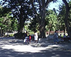 Archivo:Cayo Mambí (Calle Libertad)