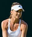Daniela Hantuchová 3, 2015 Wimbledon Championships - Diliff