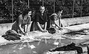 Archivo:Dones al llavador del Vaporet (Alginet, País Valencià, 1950)
