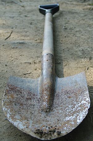 Archivo:Dropped spade