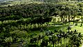 El Salvador - San Salvador, CCC - panoramio (2)