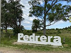 Entrada a Estación Pedrera.jpg