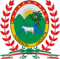 Escudo de Florencia (Colombia).svg