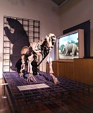 Archivo:Esqueleto completo de Megatherium Americanum montado en 1788 por Juan Bautista Bru