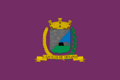 Flag of Canales de Molina.svg
