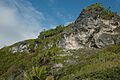 Henderson Island-110261