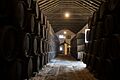 Interior de la Bodega Principal