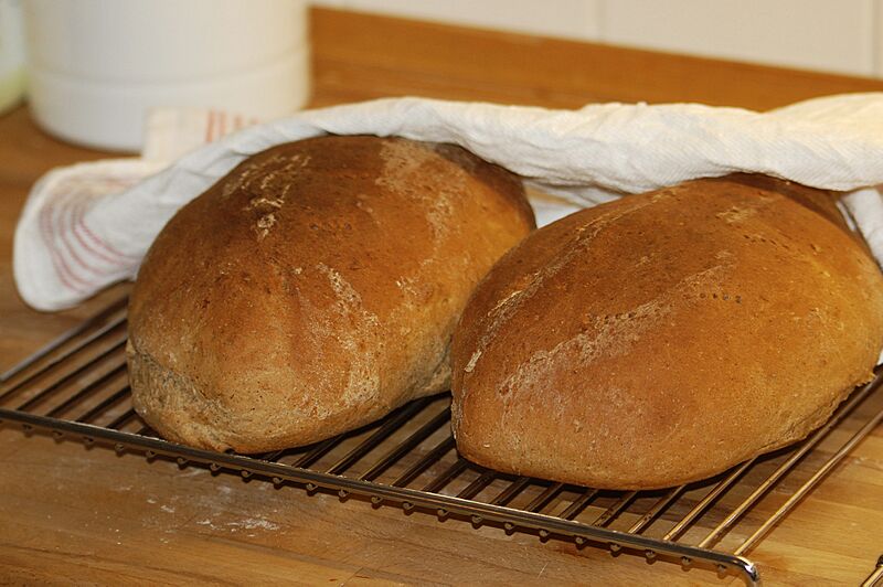 Loaves of bread2