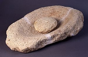 Archivo:Molino de mano neolítico de piedra arenisca