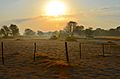 Morning, just after sunrise, Namibia
