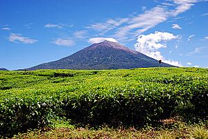 Archivo:Mount Kerinci from Kayuaro