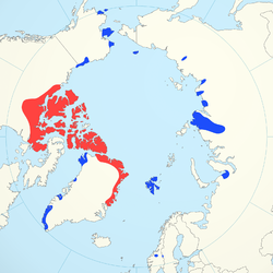 Área de distribución (en azul, zonas donde O. moschatus ha sido introducido).