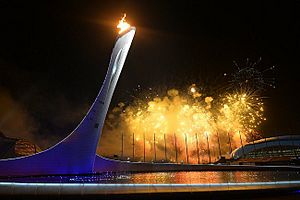 Archivo:Opening of XXII Winter Olympic Games (2338-13)