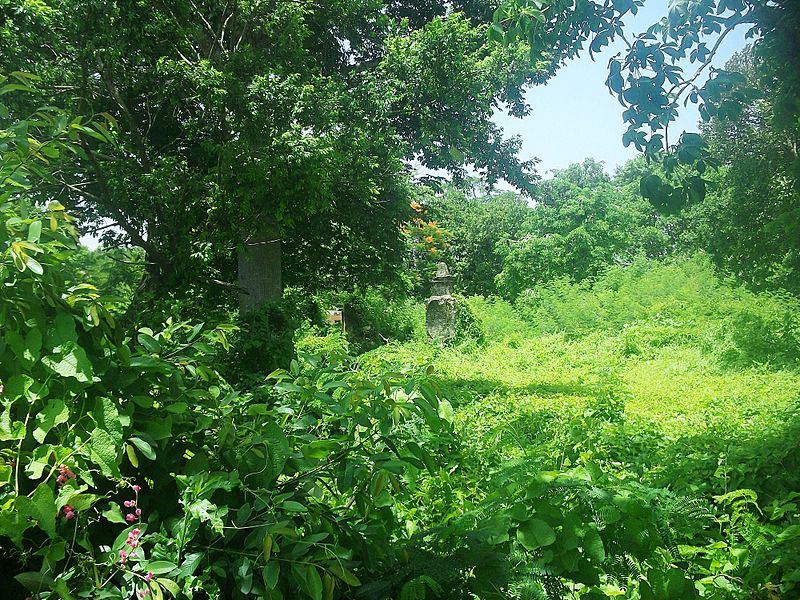 Oxholón, Yucatán (03)