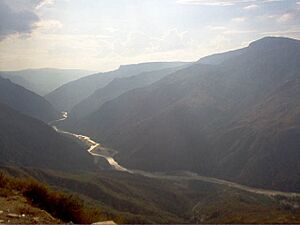 Archivo:P.chicamocha